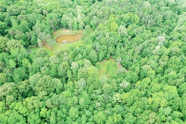 29.5 Acres of Recreational Land for Sale in Princeton, Kentucky