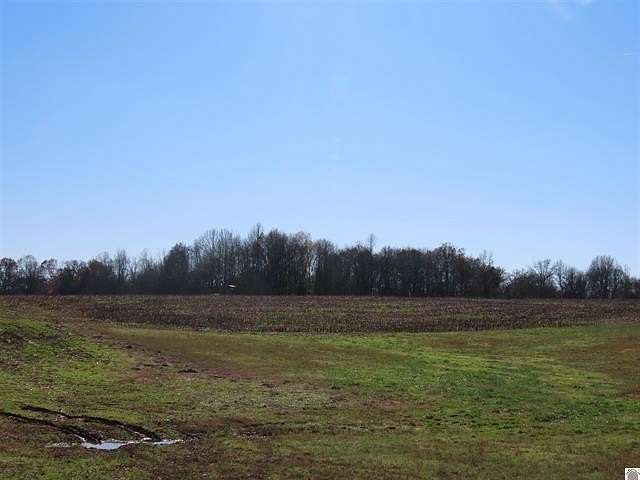 33.3 Acres of Agricultural & Residential Land for Sale in Wingo, Kentucky
