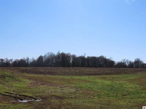 33.3 Acres of Agricultural & Residential Land for Sale in Wingo, Kentucky