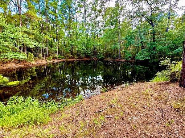 46.2 Acres of Recreational & Residential Land for Sale in Kennard, Texas