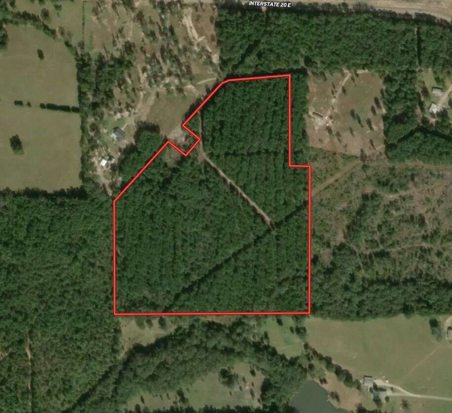 42 Acres of Recreational & Residential Land for Sale in Winona, Texas