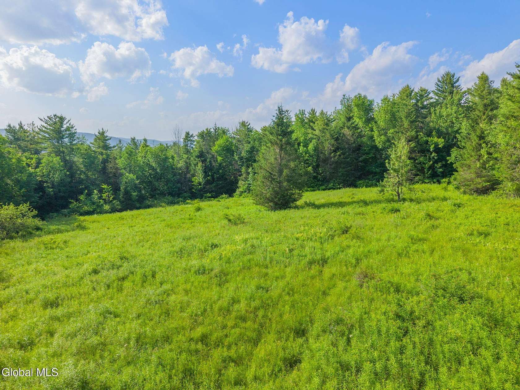 22.3 Acres of Recreational Land for Sale in Middleburgh, New York