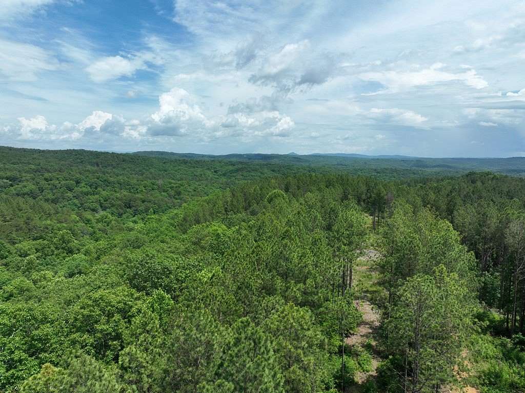 2,644 Acres of Recreational Land for Sale in Ranger, Georgia