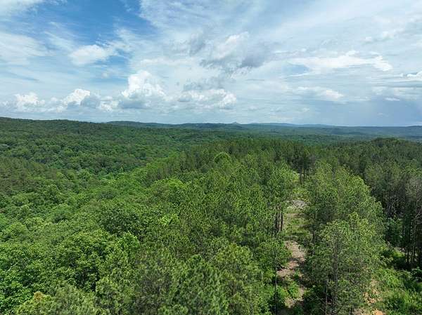 2,644 Acres of Recreational Land for Sale in Ranger, Georgia