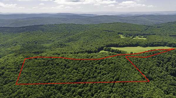 42 Acres of Recreational Land for Sale in Caldwell, West Virginia