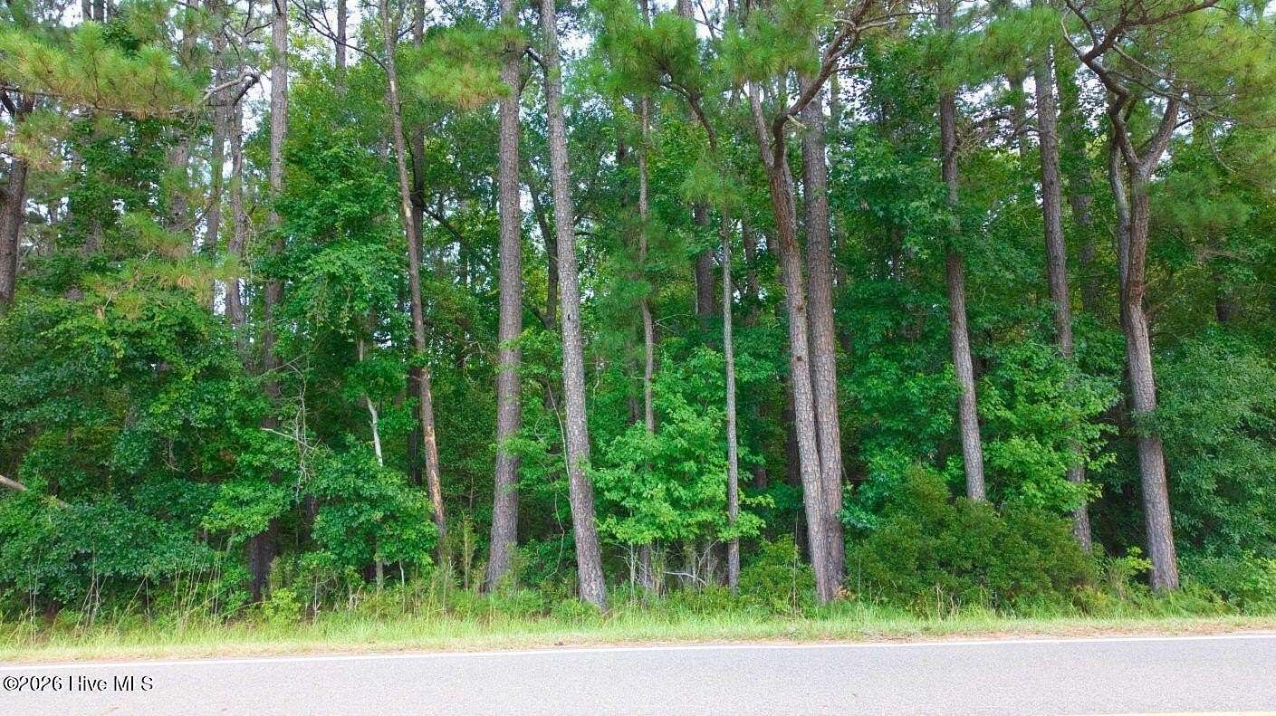 0.49 Acres of Residential Land for Sale in Clarendon, North Carolina