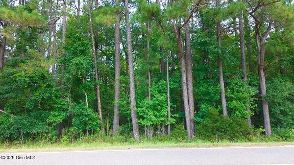 0.49 Acres of Residential Land for Sale in Clarendon, North Carolina