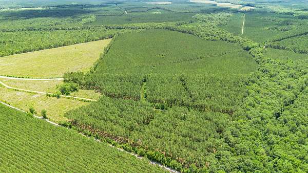 61 Acres of Recreational & Residential Land for Sale in Andrews, South Carolina
