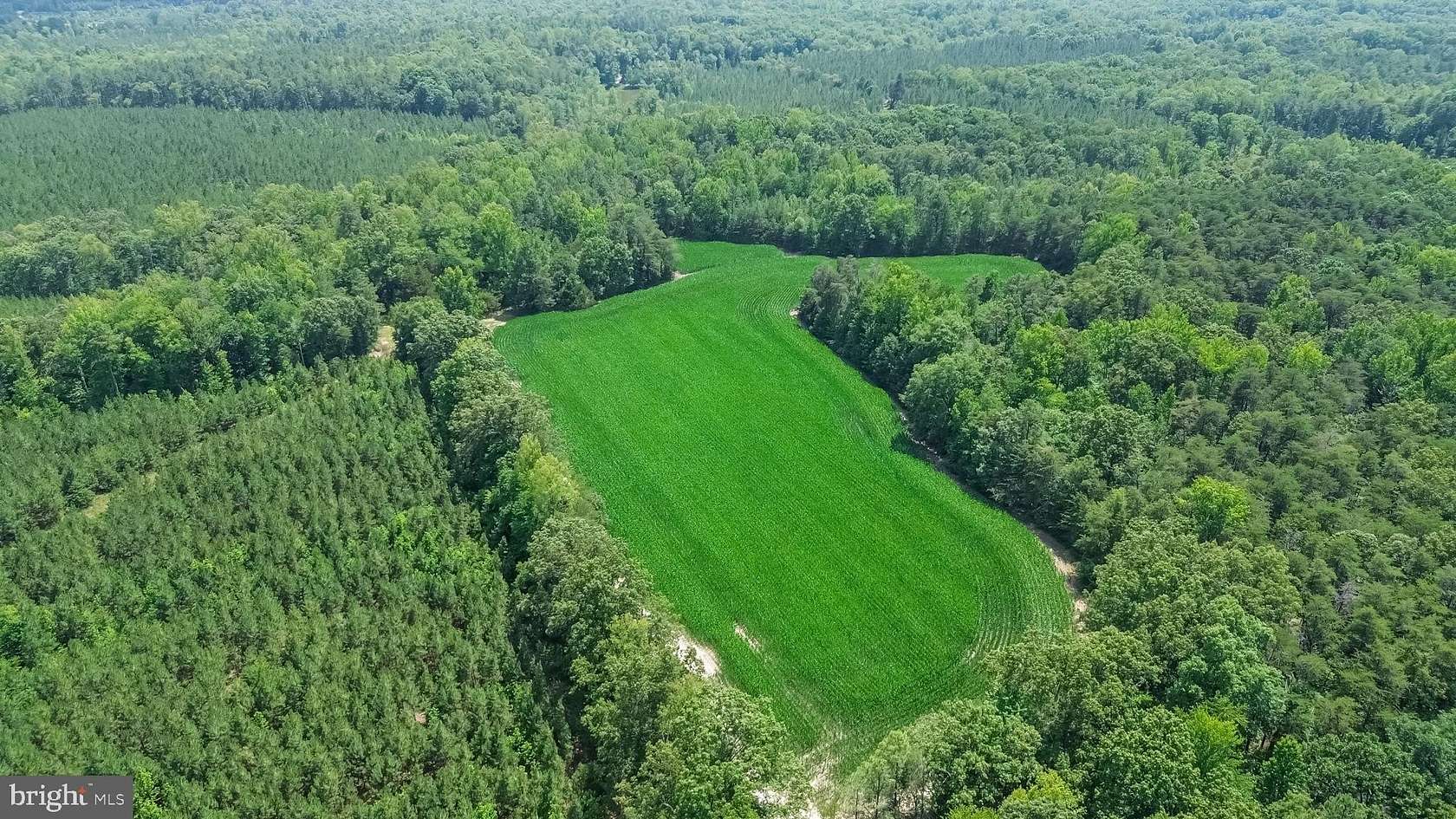 20 Acres of Agricultural & Residential Land for Sale in Ruther Glen, Virginia