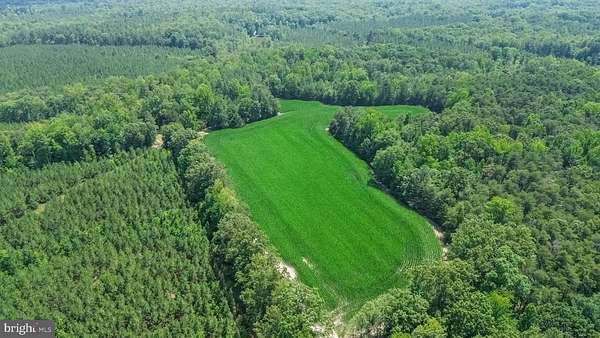 20 Acres of Agricultural & Residential Land for Sale in Ruther Glen, Virginia