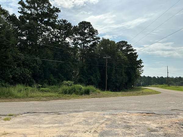 15.6 Acres of Recreational & Residential Land for Sale in Dozier, Alabama