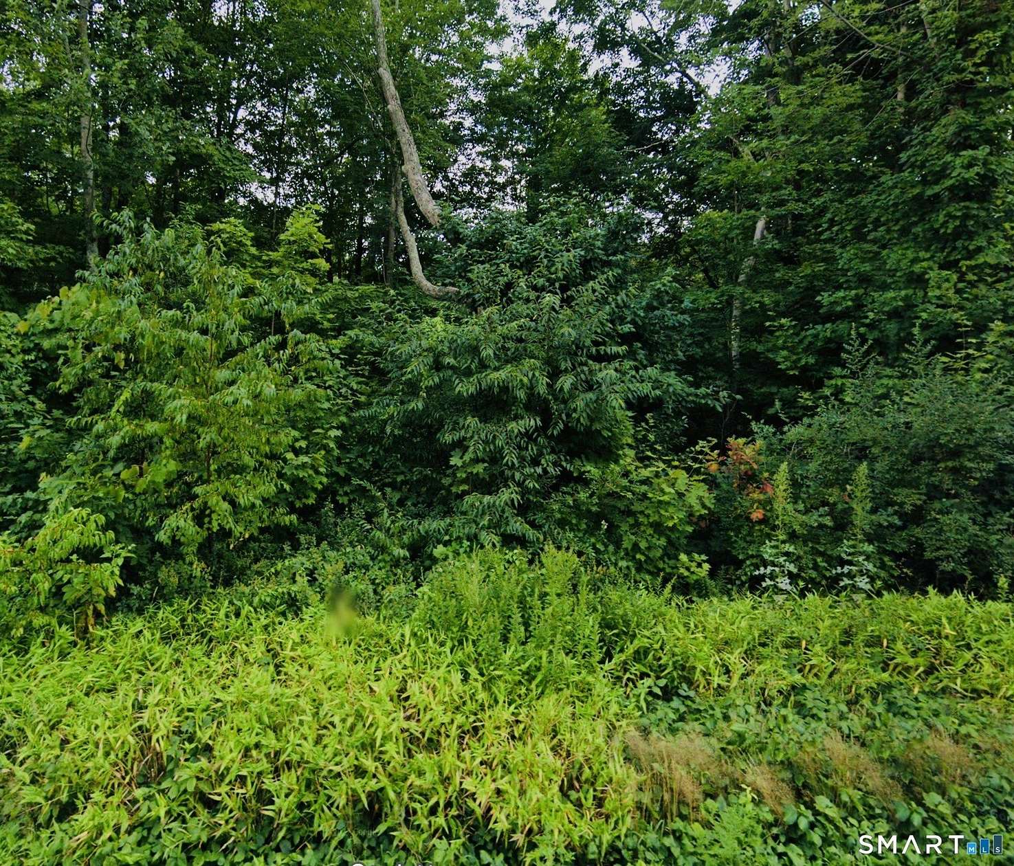 15.7 Acres of Recreational Land for Sale in Pomfret, Connecticut