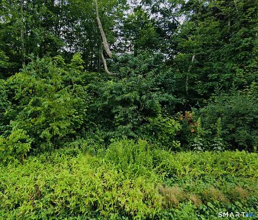 15.7 Acres of Recreational Land for Sale in Pomfret, Connecticut