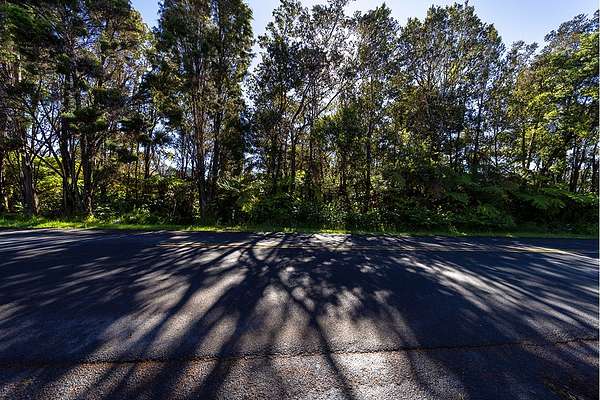 0.5 Acres of Residential Land for Sale in Volcano, Hawaii