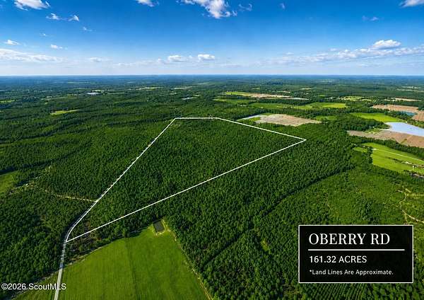 161 Acres of Recreational & Residential Land for Sale in Millwood, Georgia