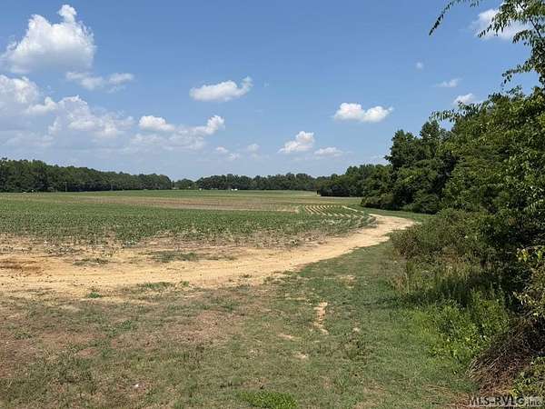 30.5 Acres of Land for Sale in Roanoke Rapids, North Carolina