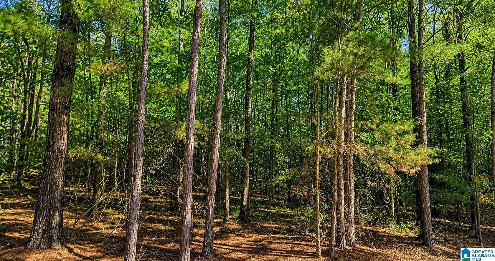 0.47 Acres of Residential Land for Sale in McCalla, Alabama