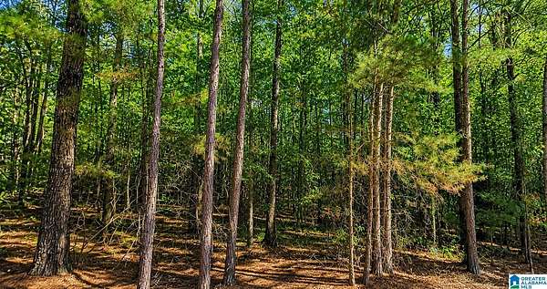 0.47 Acres of Residential Land for Sale in McCalla, Alabama