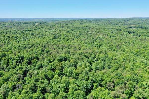 125 Acres of Land for Sale in Princeton, Kentucky