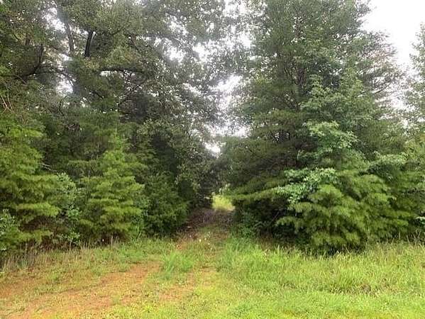 188 Acres of Recreational & Residential Land for Sale in St. Charles, Kentucky