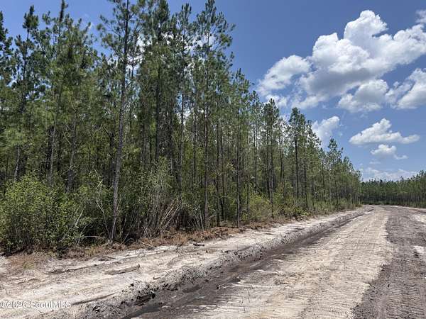 9.53 Acres of Residential Land for Sale in Manor, Georgia
