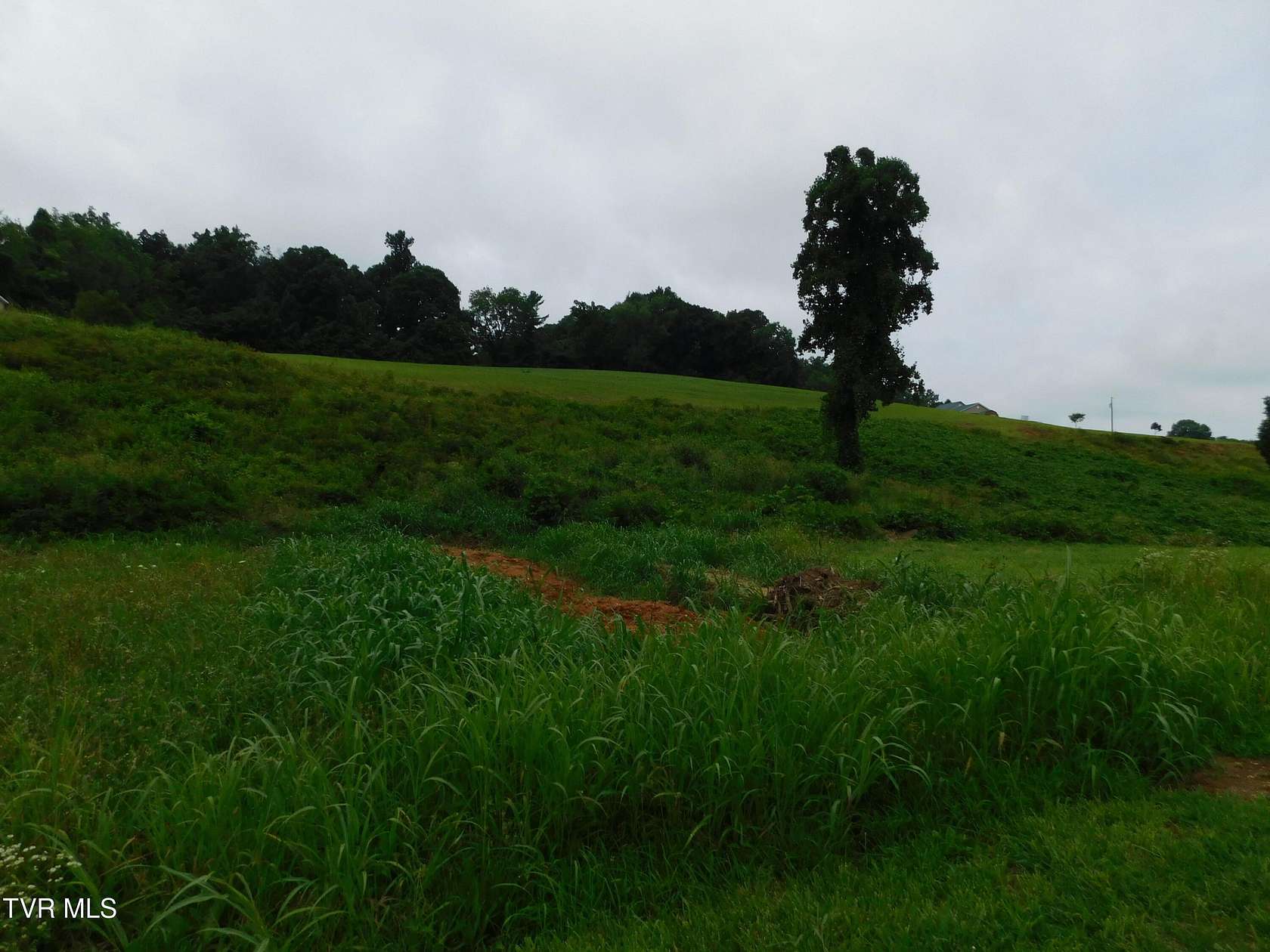 1 Acre of Residential Land for Sale in Mosheim, Tennessee