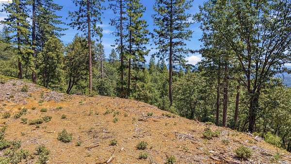 10.2 Acres of Agricultural Land for Sale in Sonora, California
