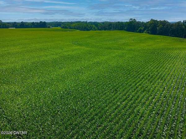 141 Acres of Land for Sale in Henderson, Tennessee