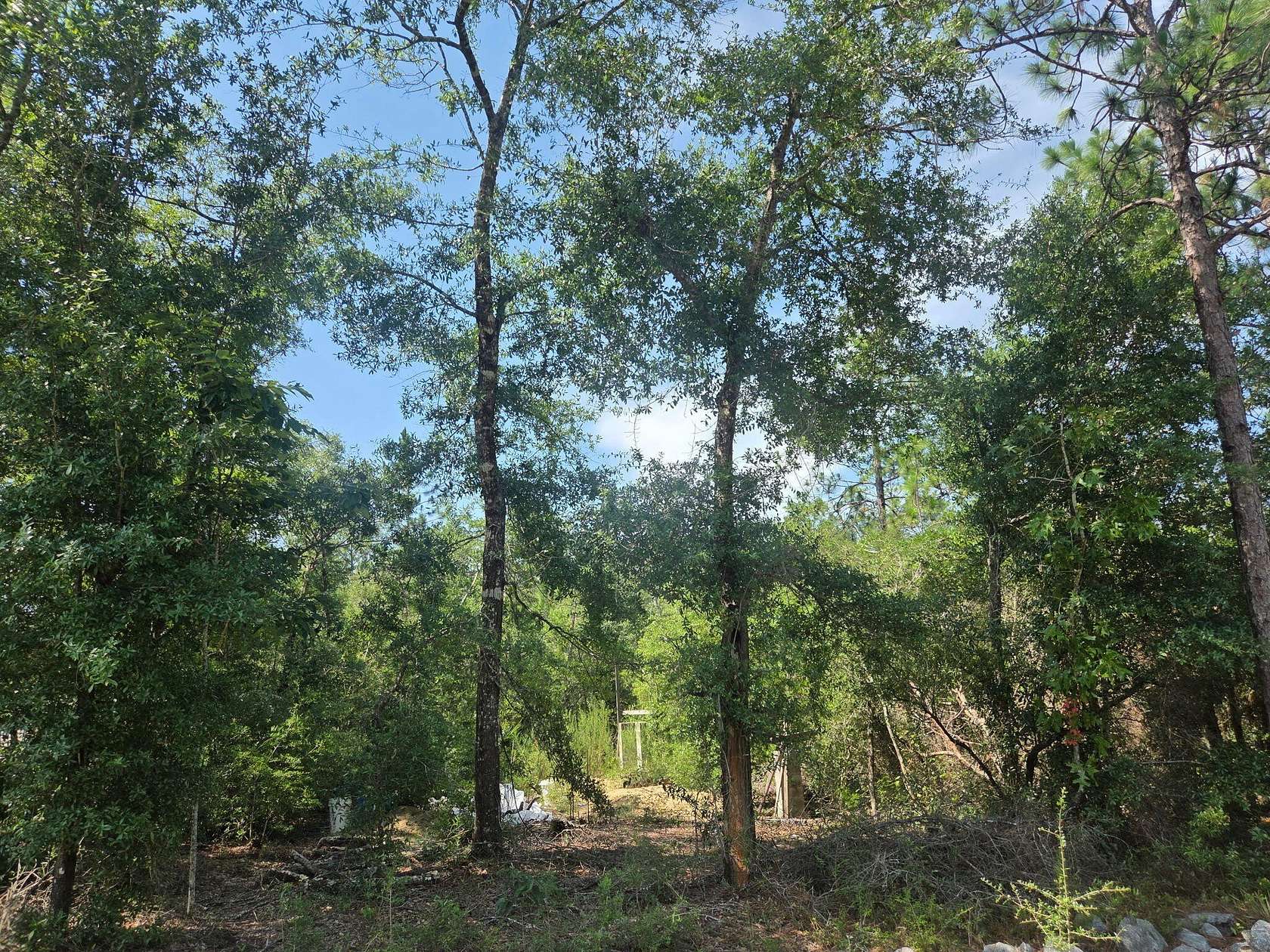 0.24 Acres of Residential Land for Sale in DeFuniak Springs, Florida
