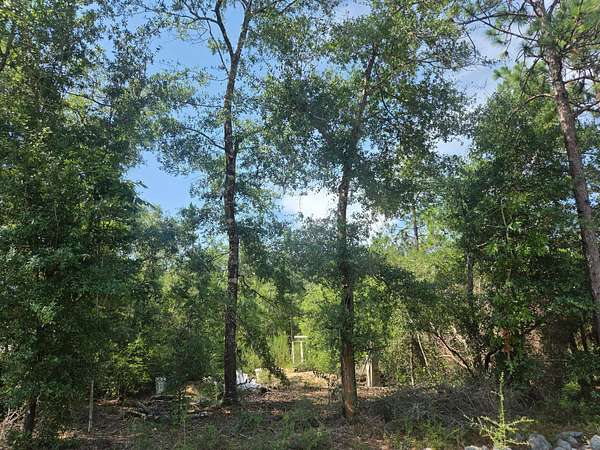 0.24 Acres of Residential Land for Sale in DeFuniak Springs, Florida