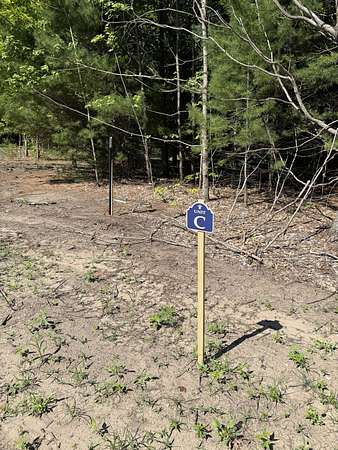 2 Acres of Land for Sale in Bear Lake, Michigan