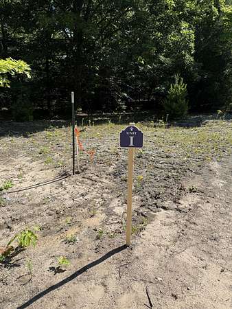 14.3 Acres of Land for Sale in Bear Lake, Michigan