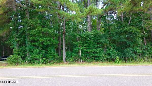 0.35 Acres of Residential Land for Sale in Clarendon, North Carolina