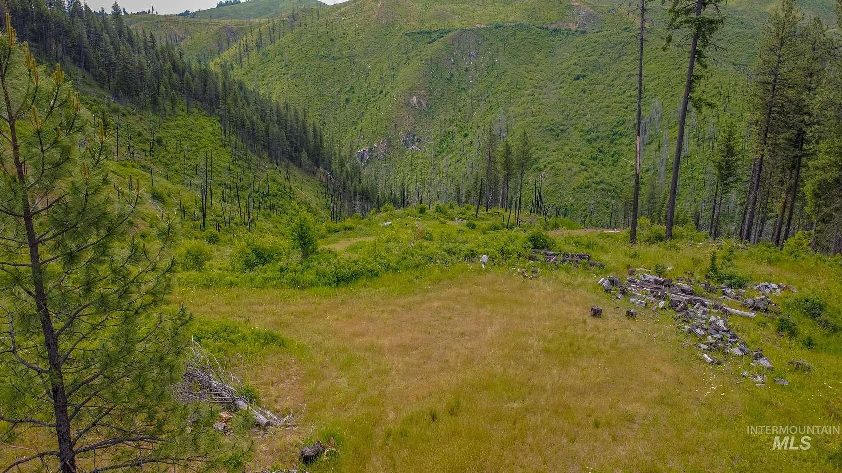 20 Acres of Recreational Land for Sale in Weippe, Idaho