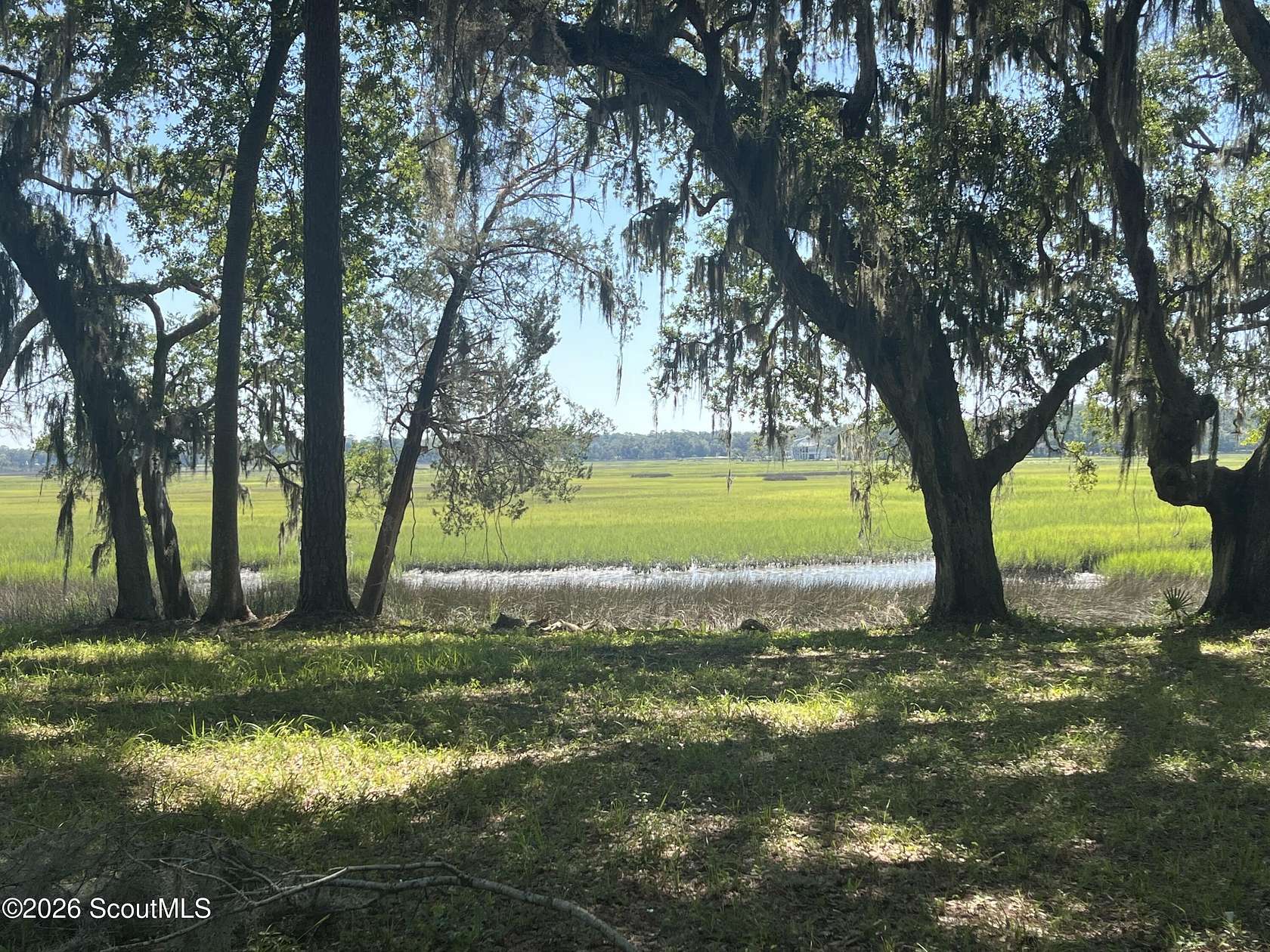 1.1 Acres of Residential Land for Sale in Townsend, Georgia