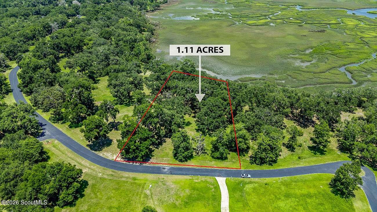 1.1 Acres of Residential Land for Sale in Townsend, Georgia