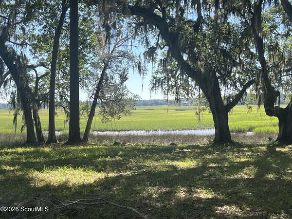 1.1 Acres of Residential Land for Sale in Townsend, Georgia