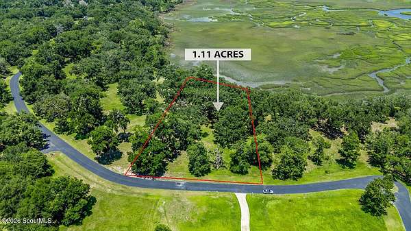 1.1 Acres of Residential Land for Sale in Townsend, Georgia