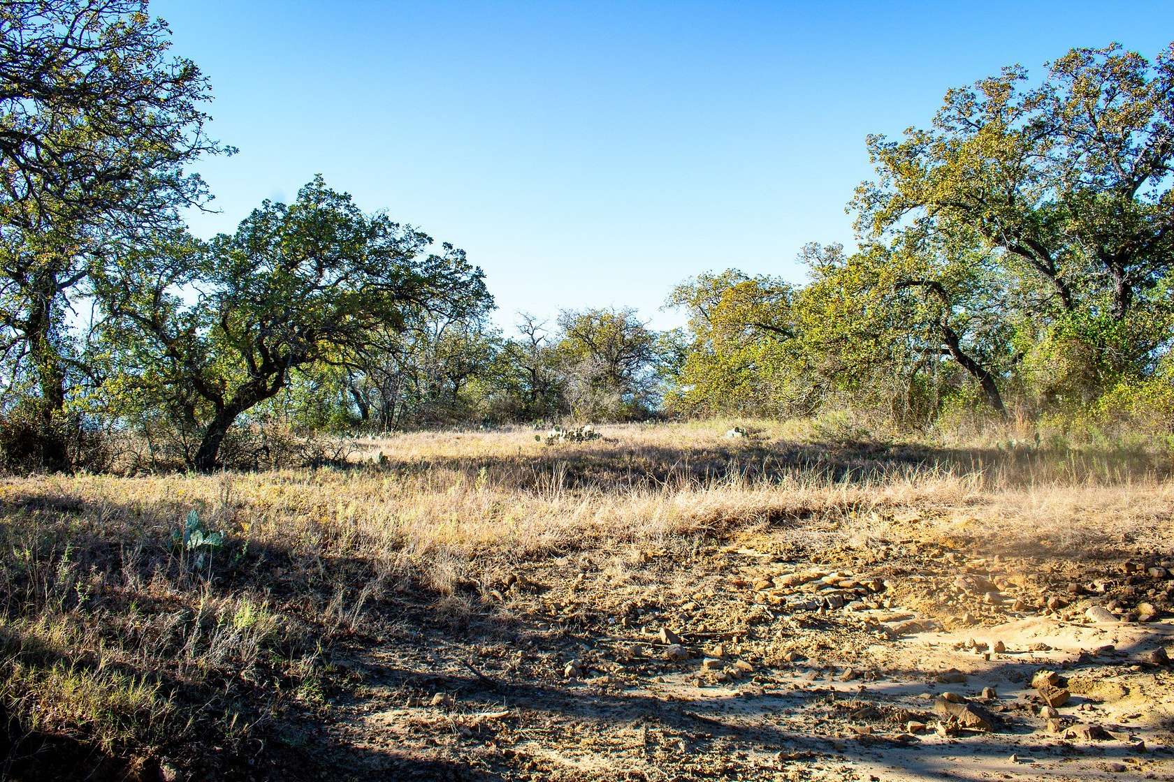 38.8 Acres of Land for Sale in San Saba, Texas