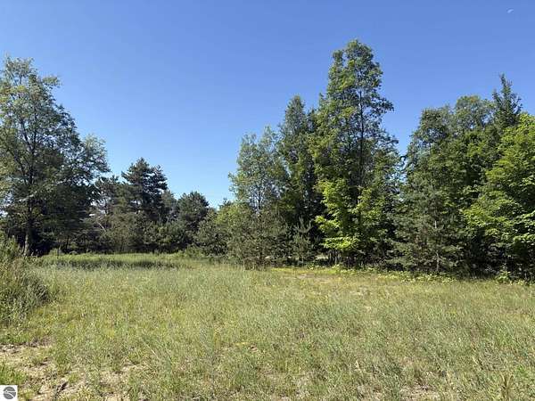 2 Acres of Residential Land for Sale in Mesick, Michigan