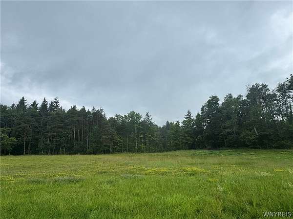 33.7 Acres of Recreational Land for Sale in Alexander, New York