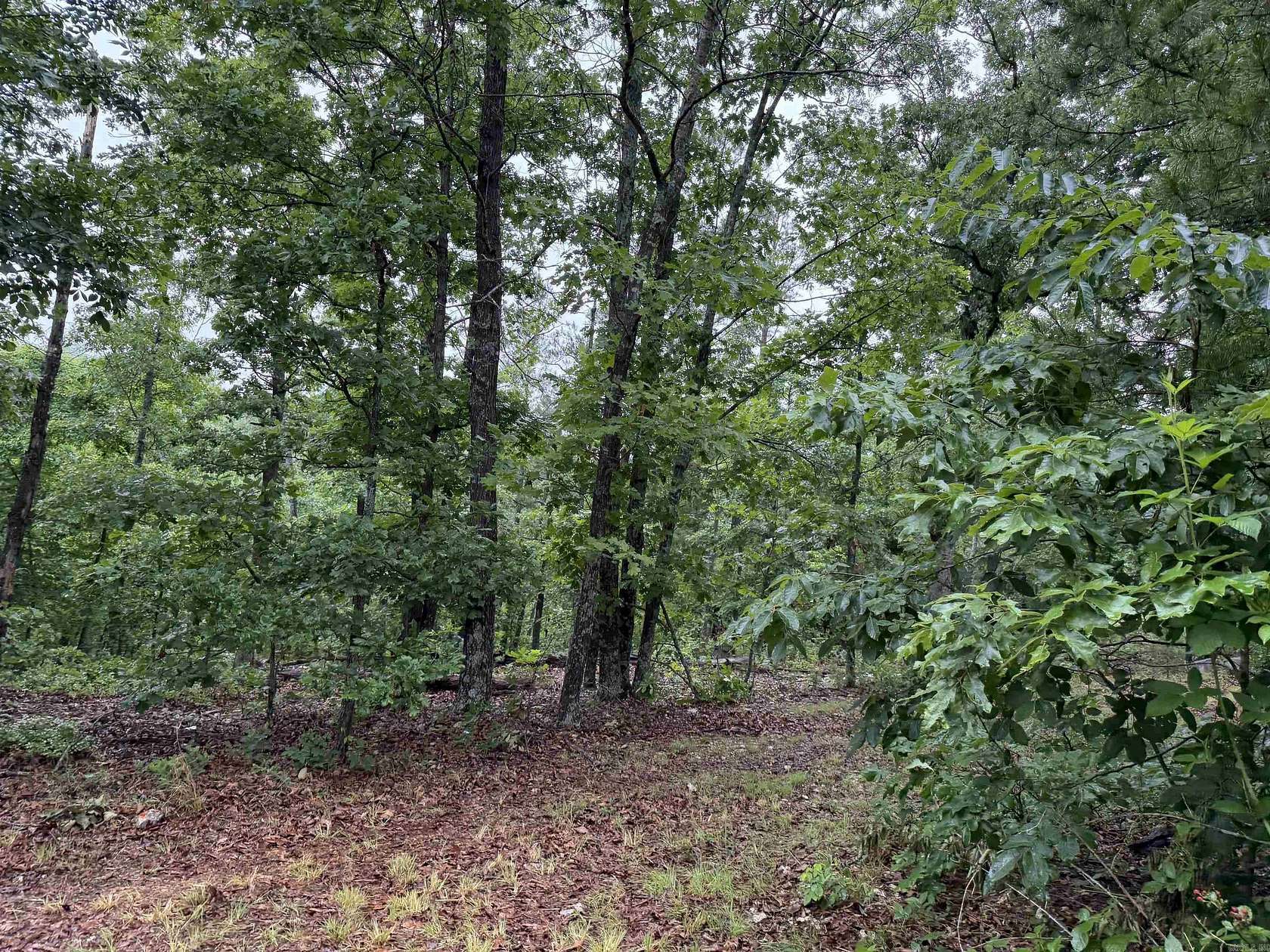 22 Acres of Recreational Land for Sale in Harrison, Arkansas