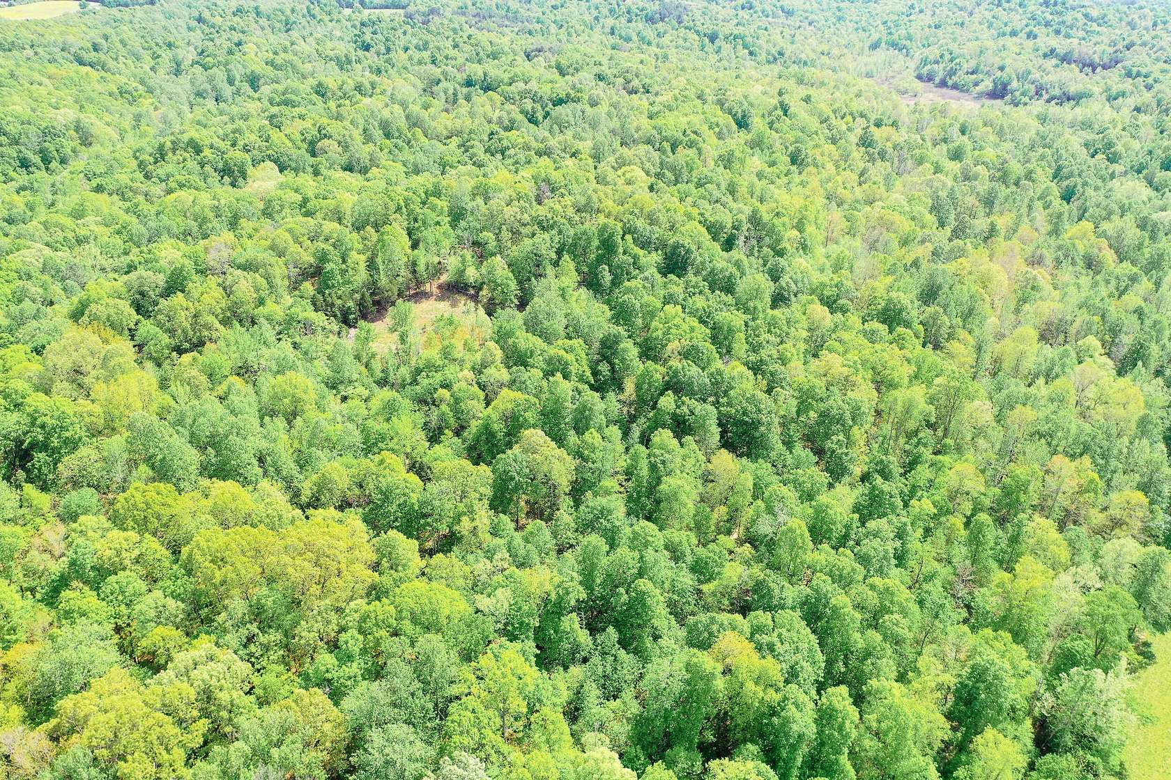 30 Acres of Recreational Land for Sale in Princeton, Kentucky