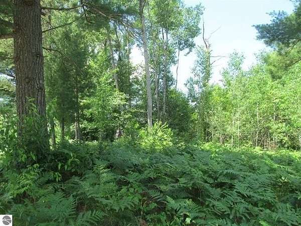 1 Acre of Residential Land for Sale in Cadillac, Michigan
