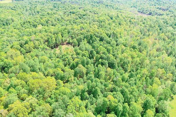 73.5 Acres of Recreational Land for Sale in Princeton, Kentucky