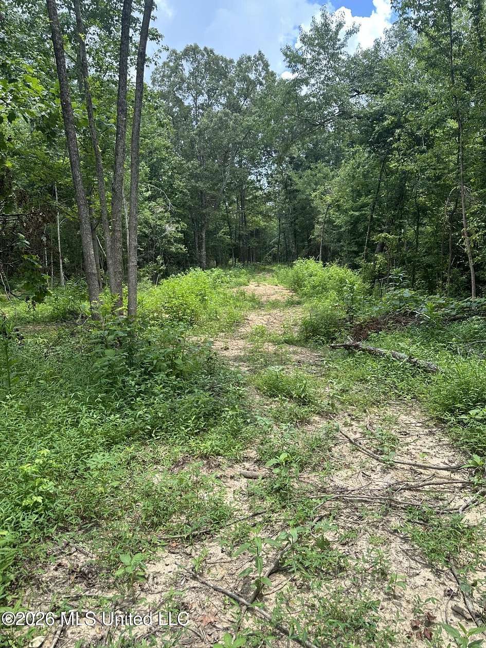 31.4 Acres of Recreational & Residential Land for Sale in Senatobia, Mississippi