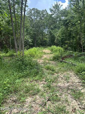 31.4 Acres of Recreational & Residential Land for Sale in Senatobia, Mississippi
