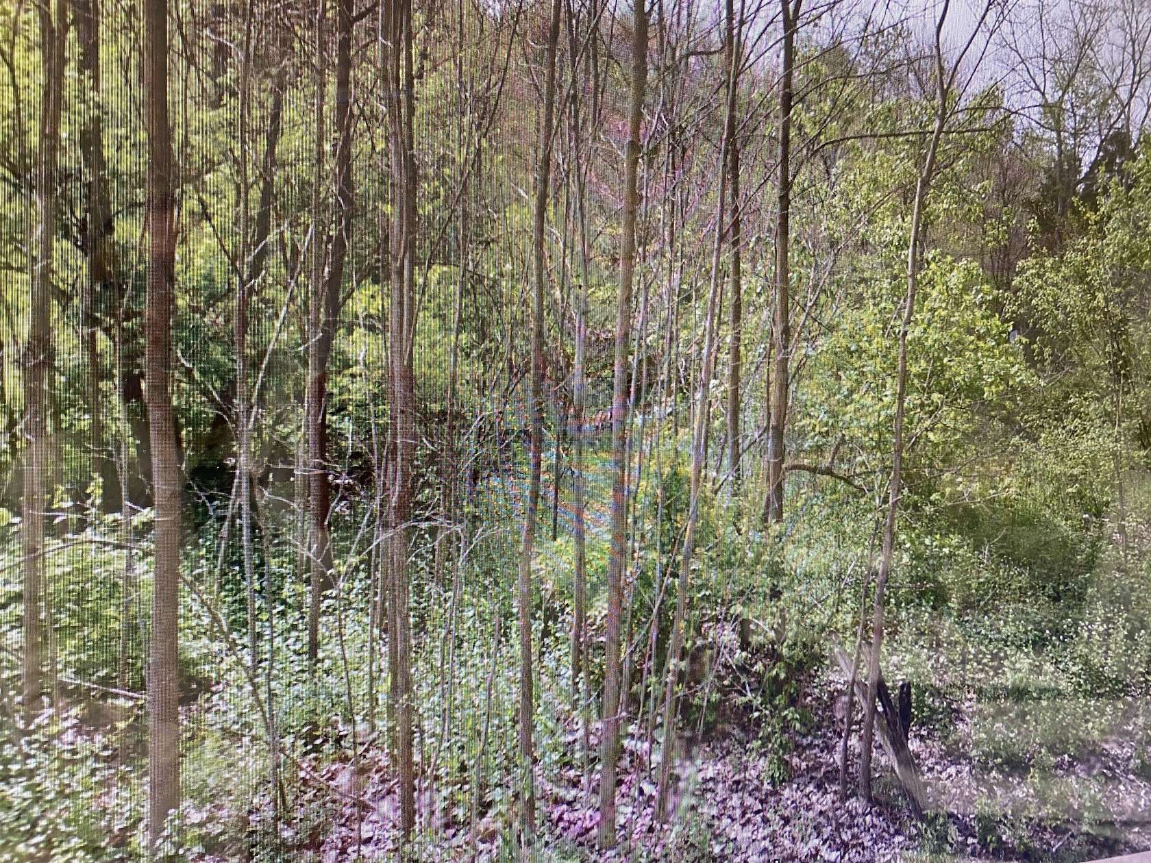 6 Acres of Residential Land for Sale in West Harrison, Indiana