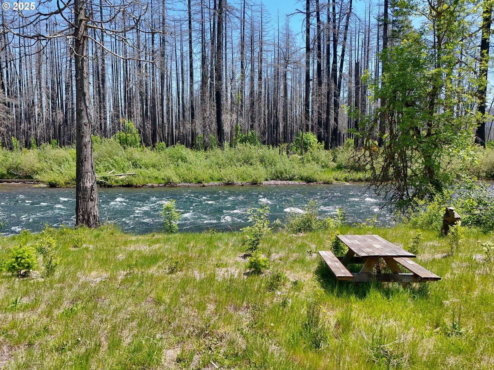 0.98 Acres of Residential Land for Sale in Blue River, Oregon