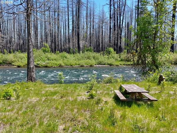 0.98 Acres of Residential Land for Sale in Blue River, Oregon